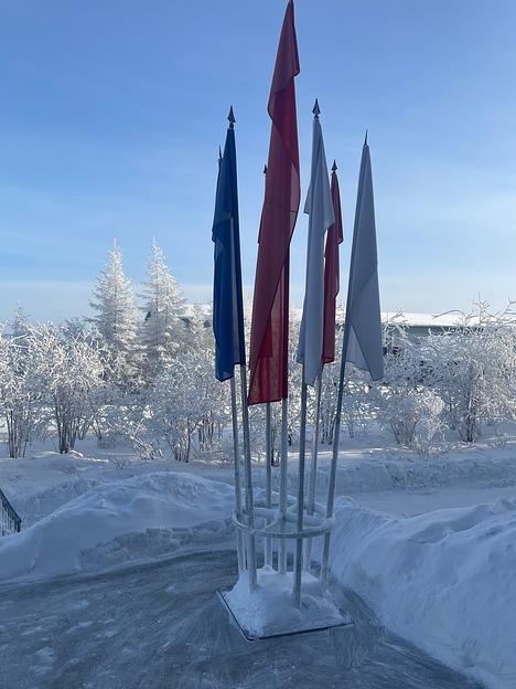 Набор флагов 7 шт фото 2