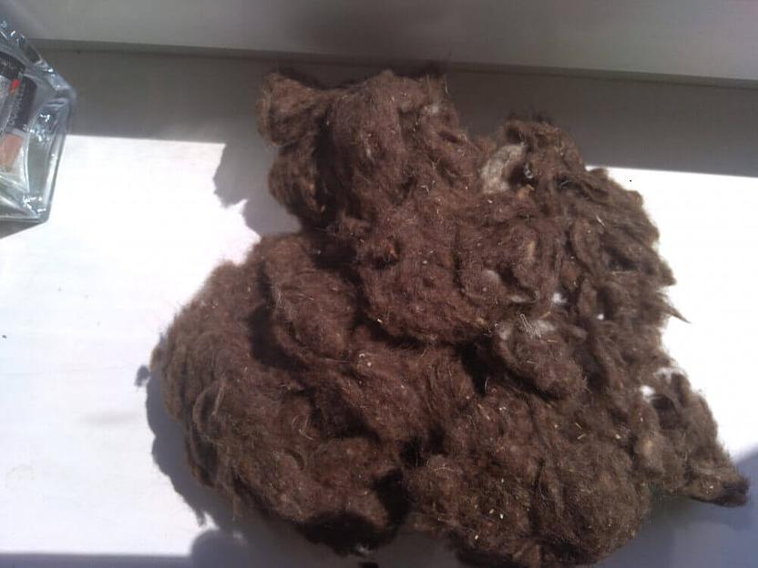 Очес шерстяной полугрубый цветной-темный, опт фото 1