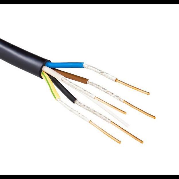 Кабель ВВГнг(А)-FRLS 5х2.5 (N PE) 0.66кВ (м) Промэл 5596660 фото 1