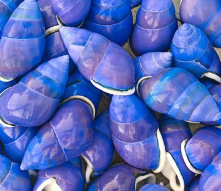 Бифлекс с принтом фото 1