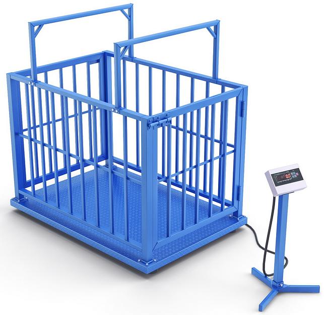 Весы для животных стационарные 1500x1250 фото 1