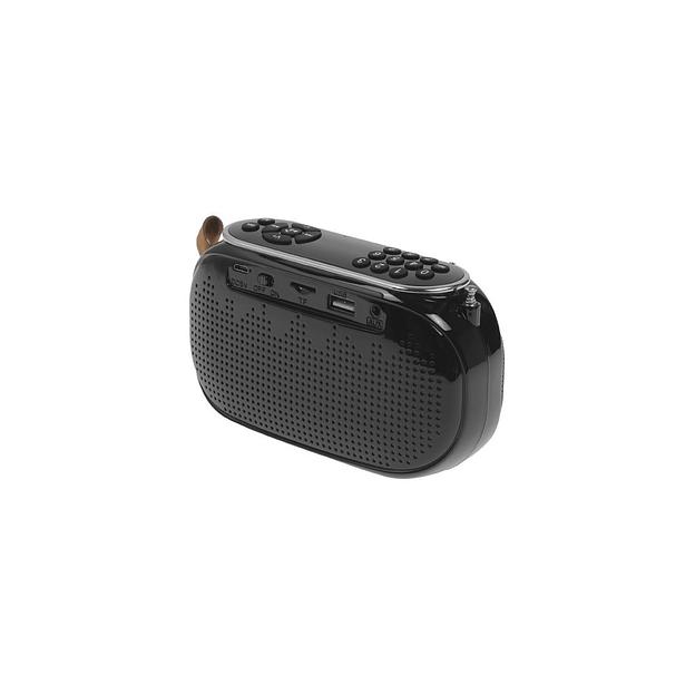 Радиоприемник Ritmix RPR-008, черный фото 1