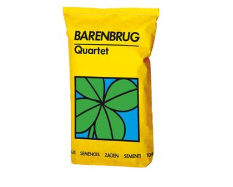 Семена клевера Barenbrug «Квартет» ОПТ фото 1