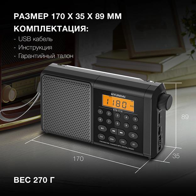 Радиоприемник портативный Hyundai H-PSR115 черный 2.0 microSD фото 5