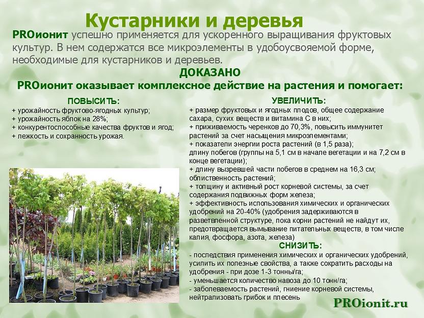 PROионит PROionit Кондиционер почв с Микроэлементами фото 7