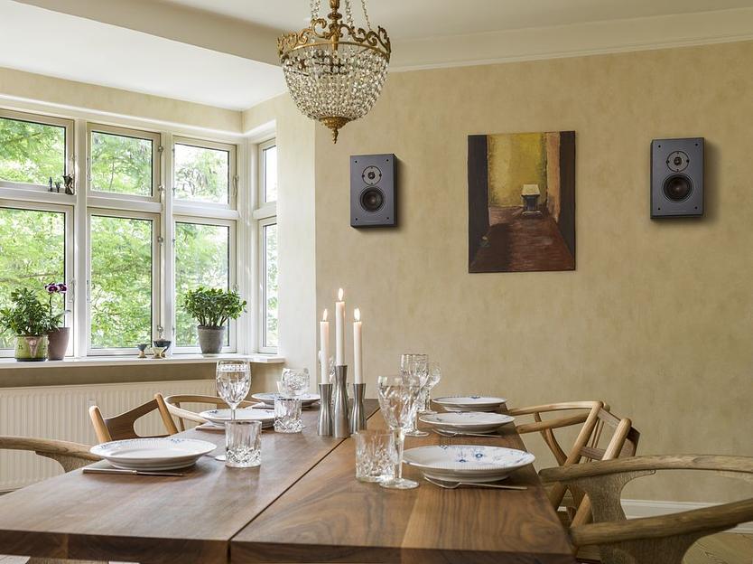 Настенная акустическая система DALI OBERON ON-WALL. Цвет: Черный дуб [BLACK ASH] фото 10