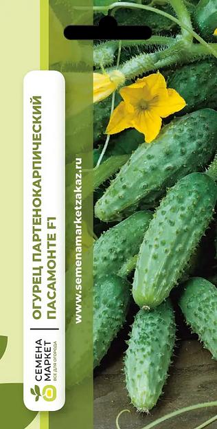 Семена посевные Огурец «Пасамонте F1» ОПТ фото 1