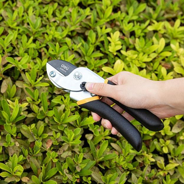 Секатор садовый Deli DL580205 лезвия с тефлоновым покрытием, длина 200мм, макс.диаметр резки 15мм, сталь 55С фото 6