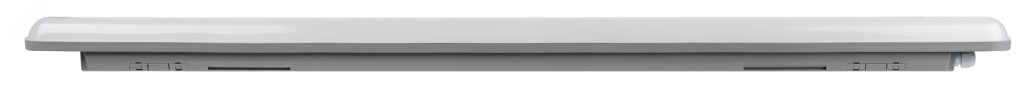 Светильник светодиодный линейный IP65 36Вт 3420Лм 6500К 1200мм мат SPP-201-0-65K-036 ЭРА Б0047175 фото 3