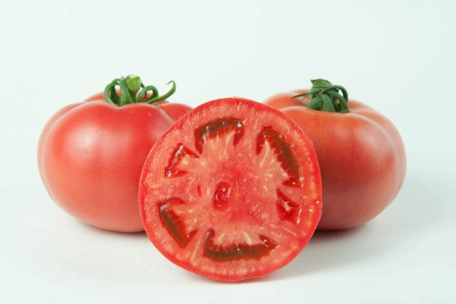 Семена томатов F1 «Шибик» опт фото 2