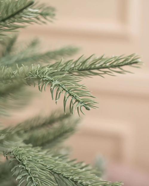 Голубая ель комбинированная «Баллада» опт фото 5