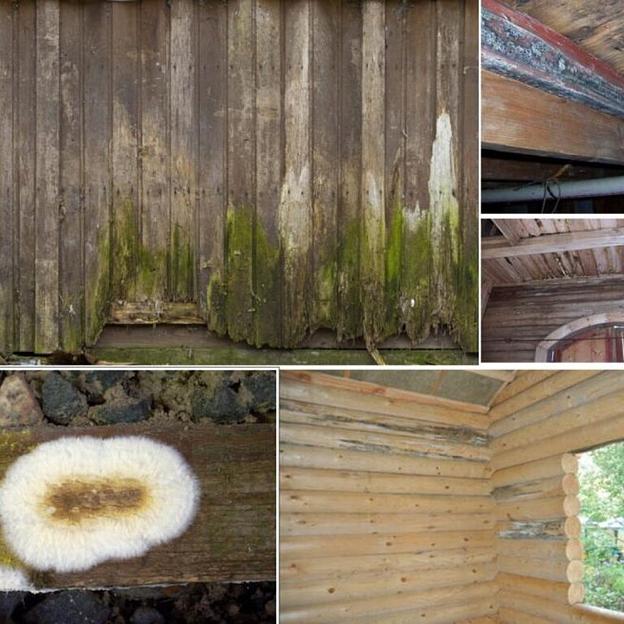 Универсальный антисептик для древесины Элис&Док № 3.8 марка «Д» 1:20 концентрат фото 4