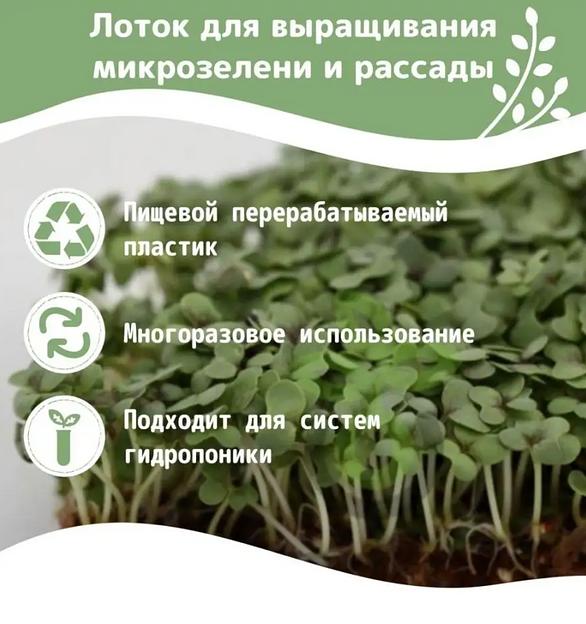 Лоток для выращивания микрозелени 5 шт ОПТ фото 2