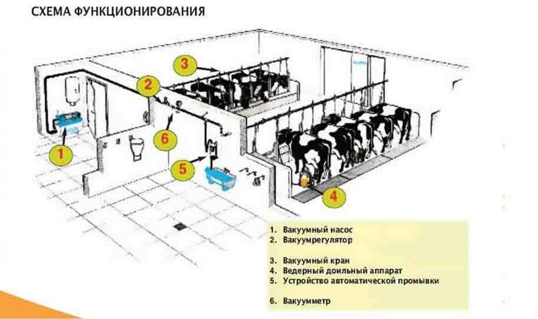 Доильная установка АД-100Б на 100 голов (Россия) фото 1