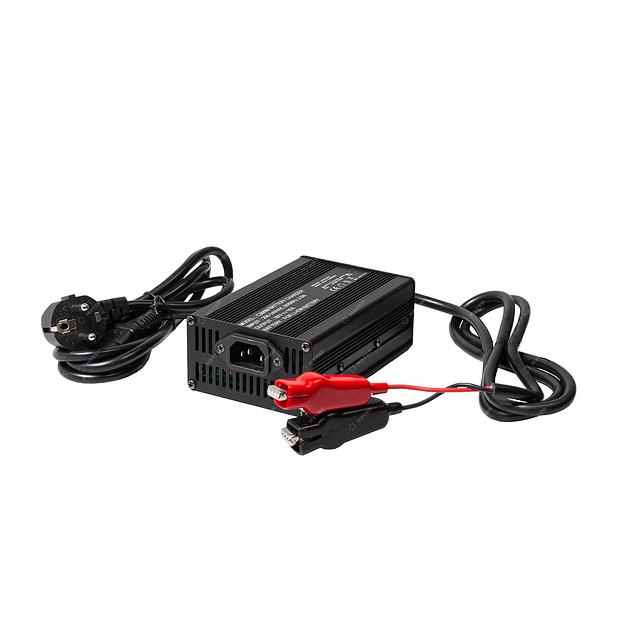 Зарядное устройство 28V 10A (LTO) - 10S фото 1