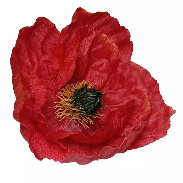 Головка мака с толстой серединой 15см фото 3