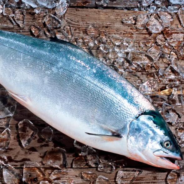 Лосось вишневый Сима свежемороженый фото 1