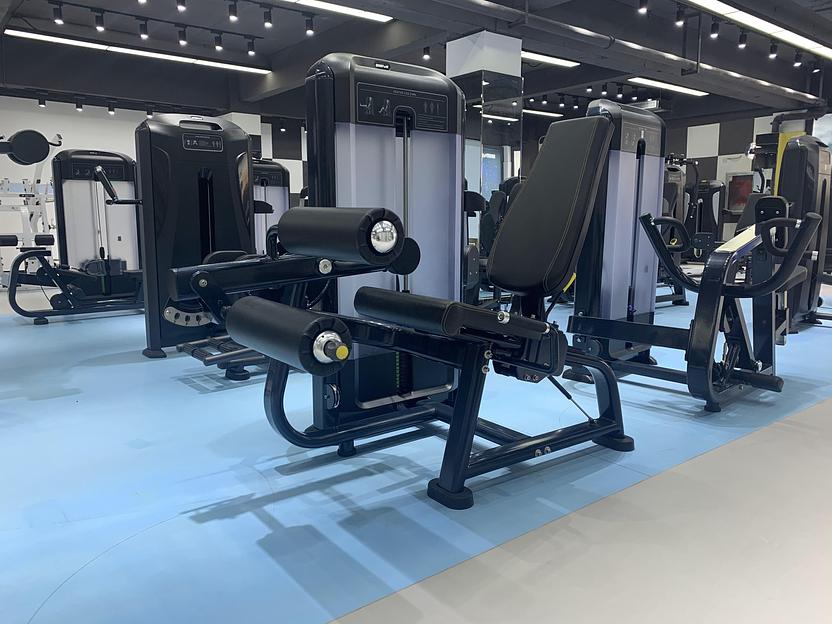 Сгибание ног Insight Fitness TF14 фото 4