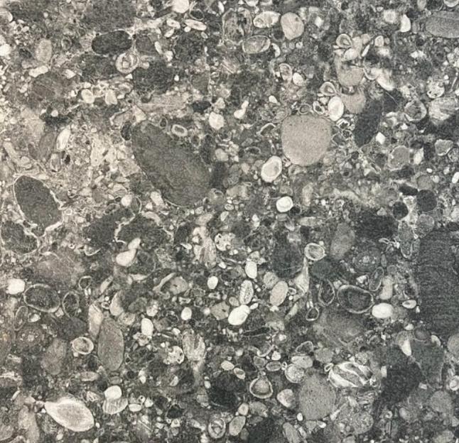 Керамогранит глазурованный лаппато серо-черный 600х600 мм опт фото 1