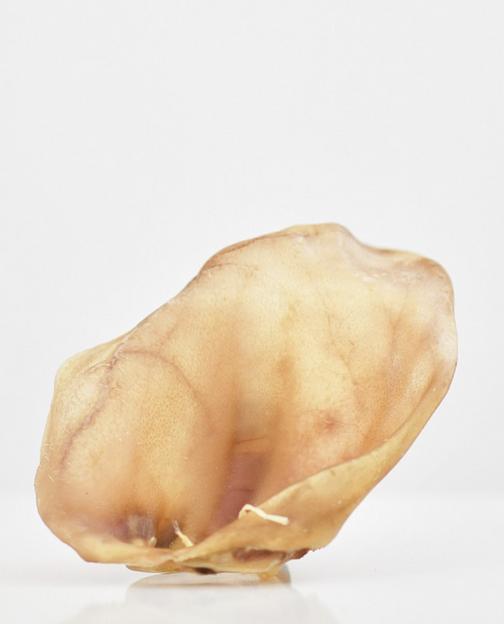 Уши свиные сушеные для собак, 1 шт, опт фото 1