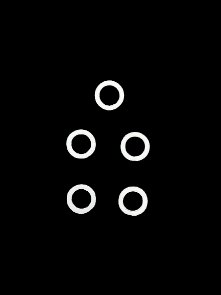 Кольцо ГОСТ 23825-79 опт фото 3