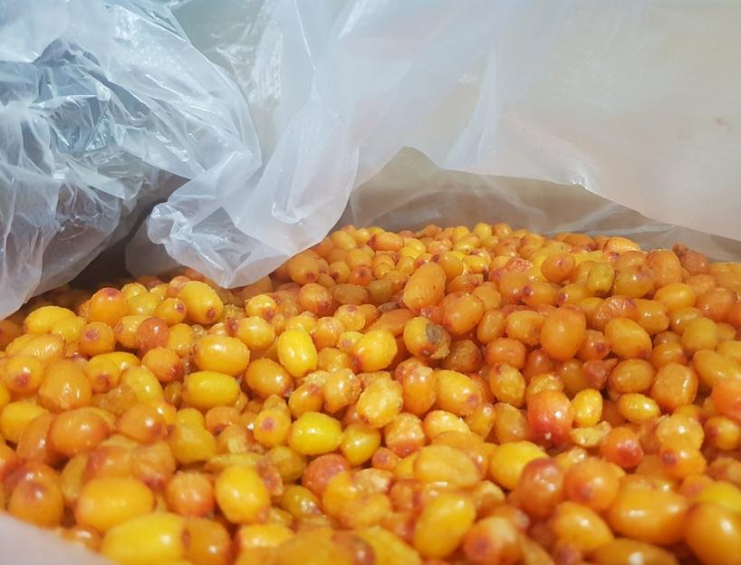 Облепиха садовая электронной очистки замороженная Россия опт фото 2