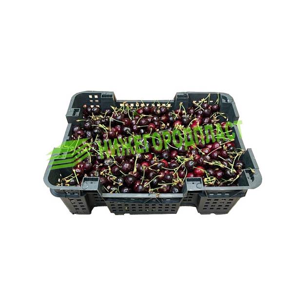 Ящик грибной, ягодный № 5, грузоподъёмность до 8 кг фото 7