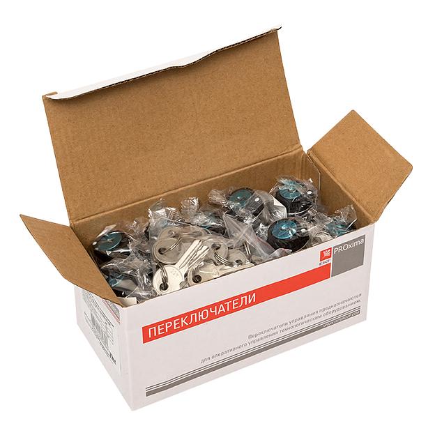 Переключатель BG21 2P с замком не возвратный NO фото 2