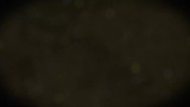 Блокорезка ДВАК Б-2,5 фото 5