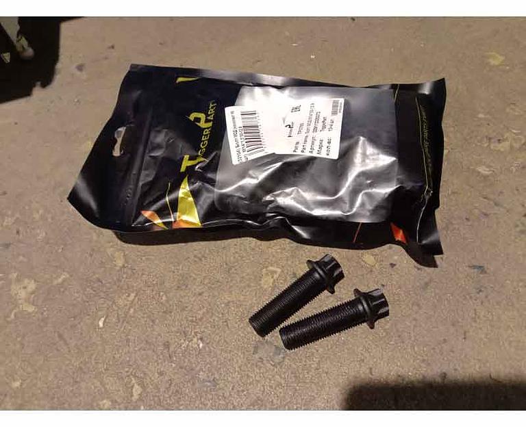 Болт МОД TiggerPart DZ9112320372 комплект 16 шт ОПТ фото 1