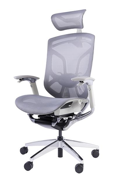 Премиум эргономичное кресло GT Chair Dvary X, серый фото 1