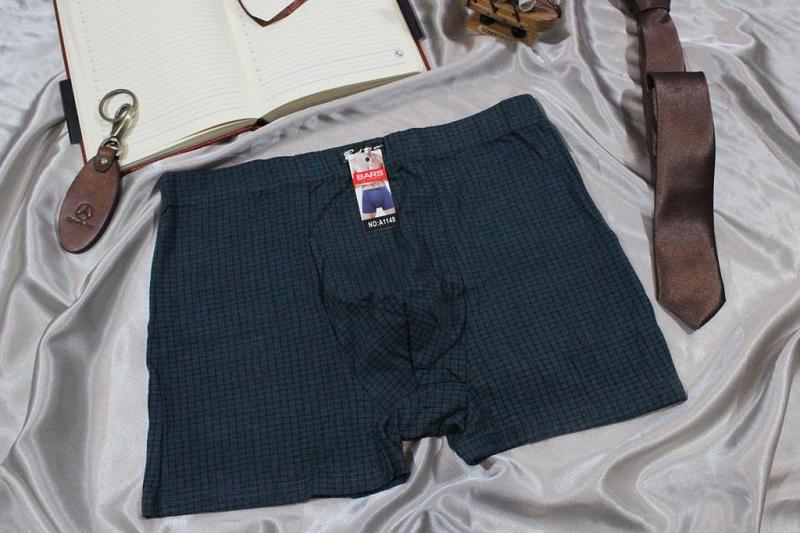 Трусы мужские боксеры p-p 46-54 Арт. А1148 BARS  (к.10102) фото 1