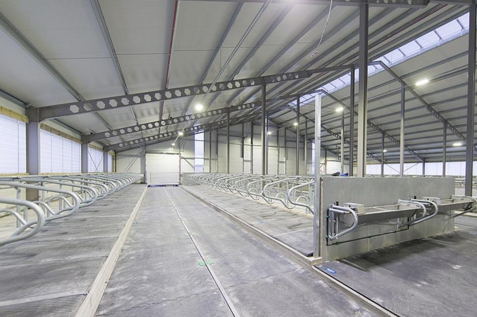 Услуга строительства ферм от 200 и более голов КРС фото 1