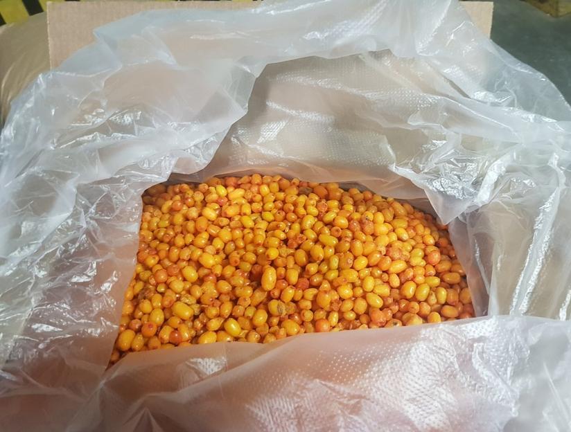 Облепиха садовая электронной очистки замороженная Россия опт фото 1