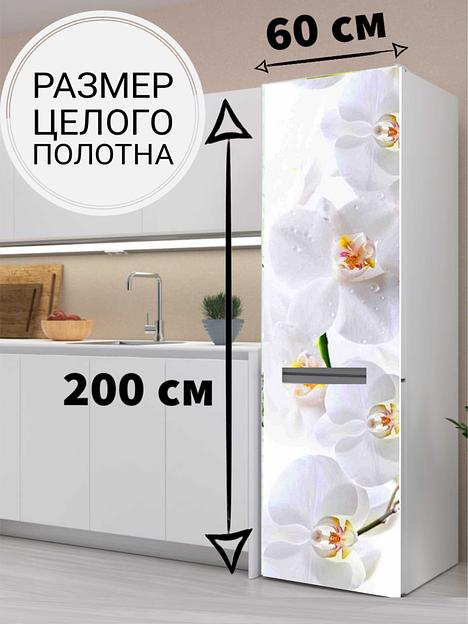 Магнитная наклейка на холодильник «Орхидея» фото 1