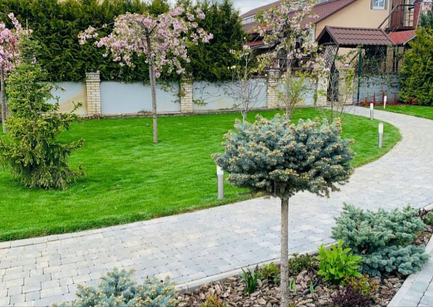 Озеленение и установка автополива от компании «GreenJusan» в г. Алматы фото 1