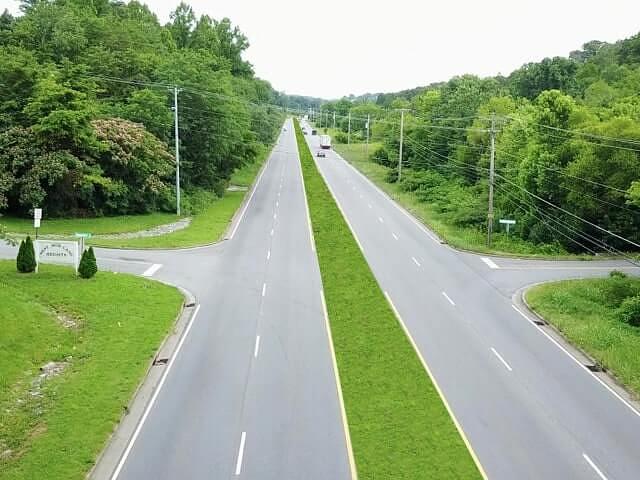 Семена «Травосмесь придорожная» опт фото 1