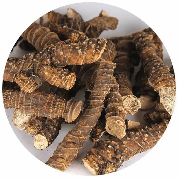 Корневища аира фото 1