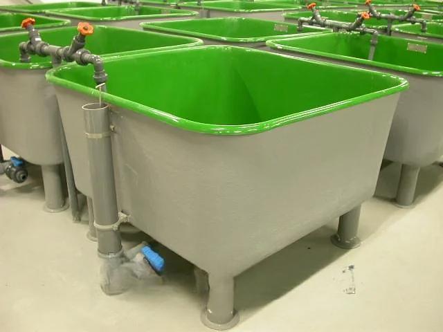 Бассейны для выращивания рыбы фото 3