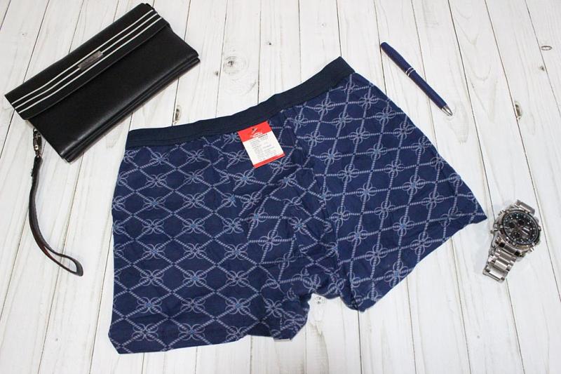 Трусы мужские боксеры p-p 46-54 Арт. 34122 Veenice (к.11100) фото 1