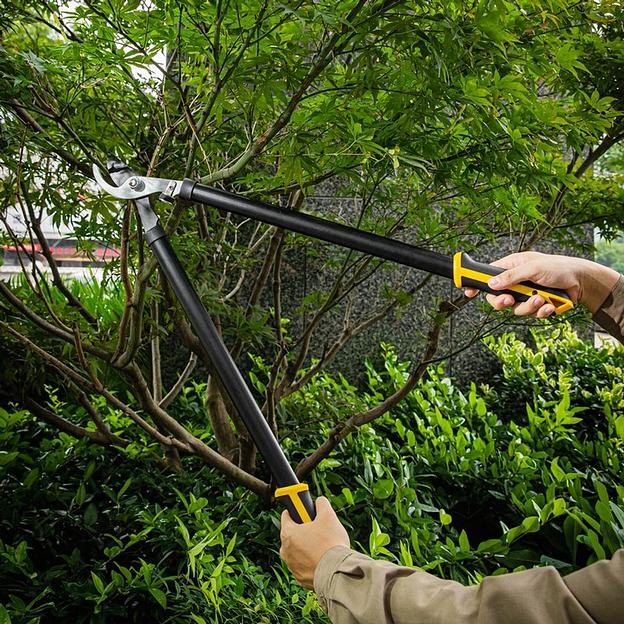 Набор сучкорез + секатор Deli DL580002 лезвия с тефлоновым покрытием, длина 75/21 см, макс. диаметр реза 30/15 мм, сталь 55С фото 8