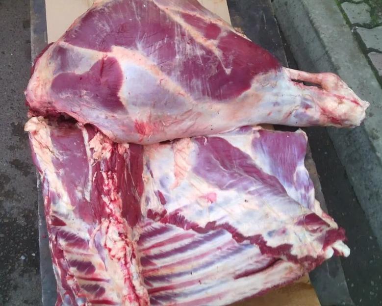 Молодняк телки 90+ ОПТ фото 1