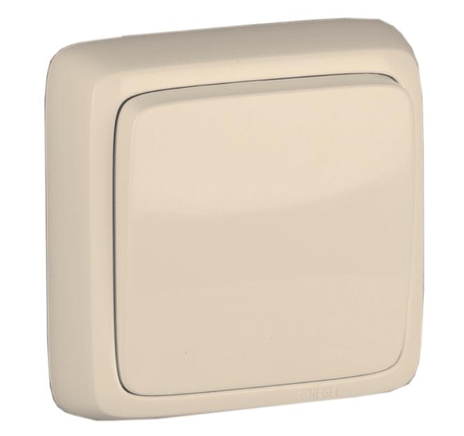 Выключатель одноклавишный наружный с изоляционной пластиной слоновая кость 10А фото 1