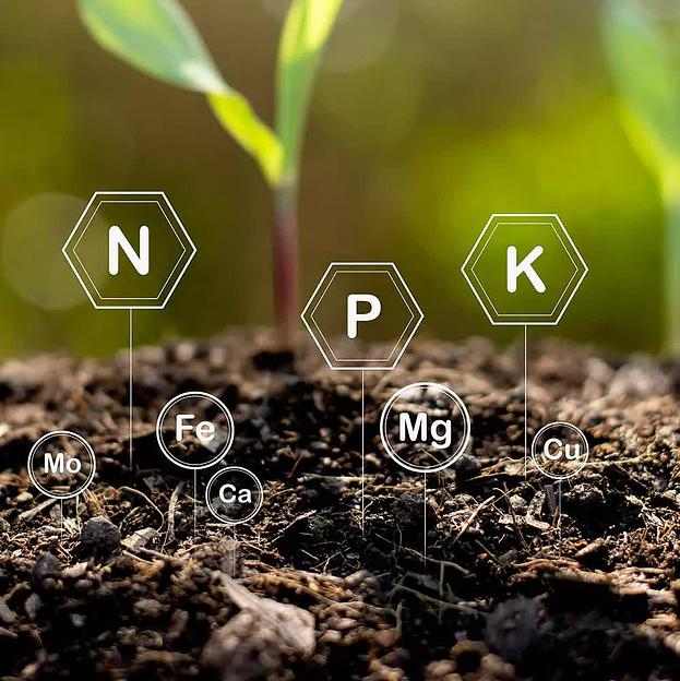 Органо-минеральное удобрение «Ростодар» канистра 5 л опт фото 3