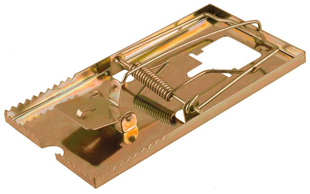 STAYER 155 х 85 мм, с металлическим основанием, крысоловка (40490-L) фото 1