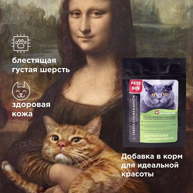 Добавка PETS BIN «Skin and Hair» для кошек фото 3