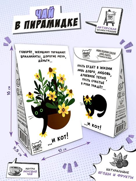 Чай пирамидка «Кот в горшке», 50 г ОПТ фото 1