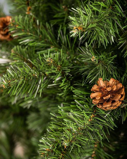 Ель с шишками «Симфония» опт фото 5