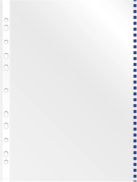 Папка-вкладыш Silwerhof Daily SD-EDGE/BLU глянцевые A4+ полипропилен 30мкм синий край (упак.:50шт) фото 2