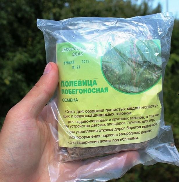 Трава газонная «Полевица побегоносная» ОПТ фото 1